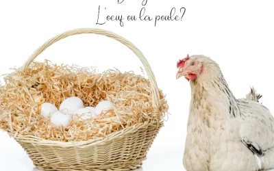 Déléguer : l’œuf ou la poule?