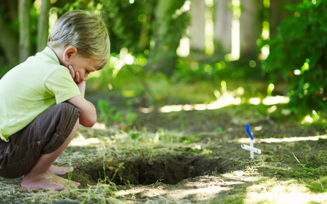 Le deuil animalier : une formation qui transforme mon accompagnement