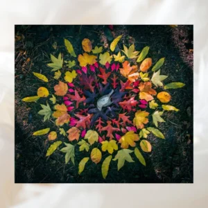 Formation : Réinventer le deuil : libérer votre créativité grâce aux gestes rituels