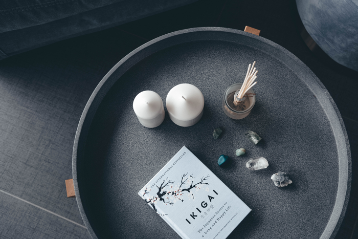 Ikigai-CEBE_700px